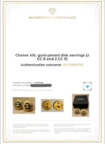 photo de Chanel Vintage XXL Disk Earrings